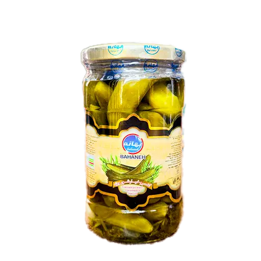 خیارشور بهانه مدل ویژه 700 گرمی(ارسال فقط به تبریز)